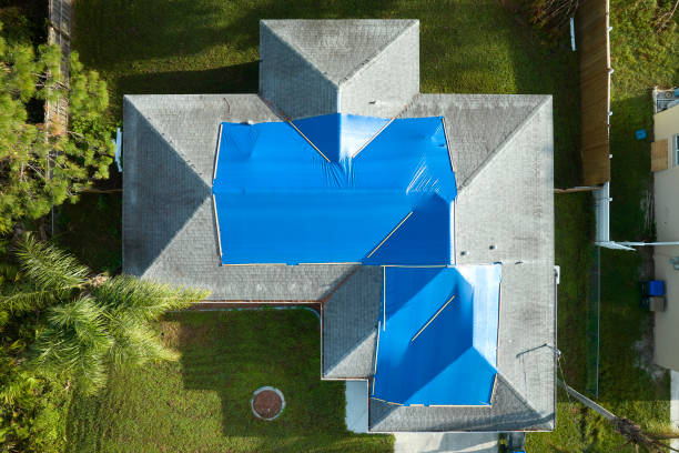 Best Roof Maintenance and Cleaning  in Honea Path, SC